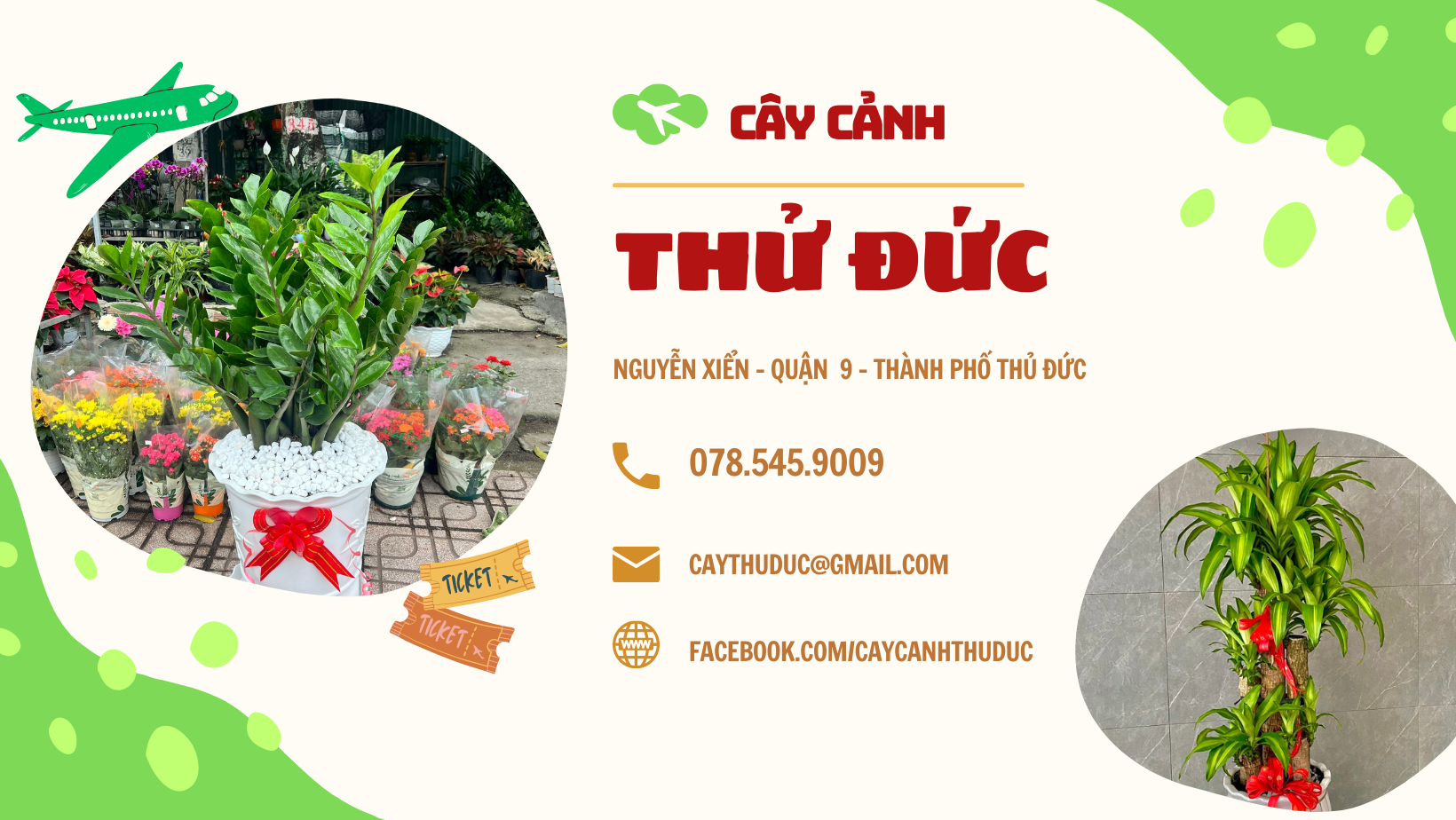 Cây Cảnh Thủ Đức Chuyên Cung Cấp Cây Đẹp Với Giá Tốt Nhất Thị Trường !!!