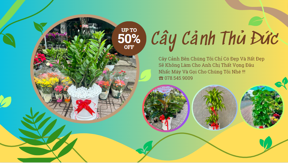 Cây Cảnh Thủ Đức Chuyên Cung Cấp Cây Đẹp Với Giá Tốt Nhất Thị Trường !!!