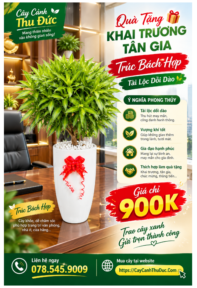 Trúc Bách Hợp