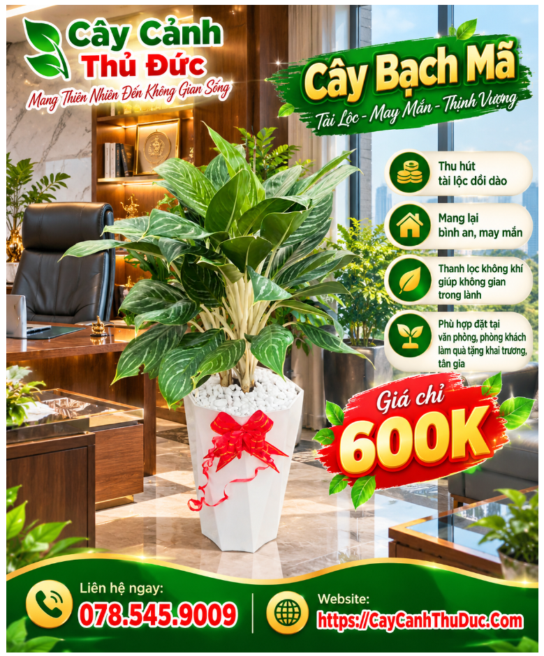 Bạch Mã Hoàng Tử
