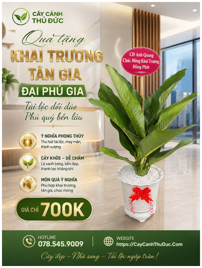 Đại Phú Gia