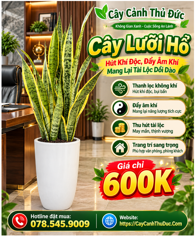 Lưỡi Hổ